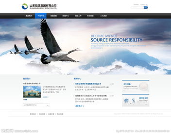 公司网站图片与计算机网络工程 构建高效视觉与数据交互平台